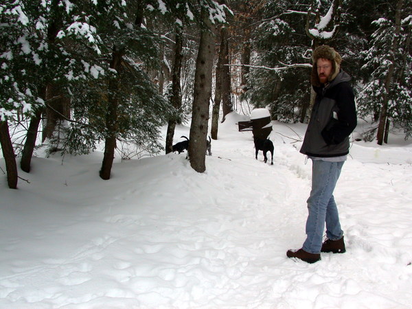 Bill with some of the dogs outside.